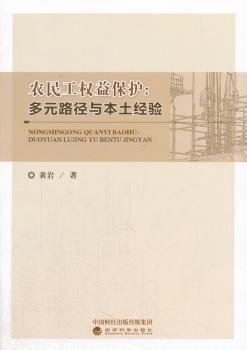 农民工权益保护：多元路径与本土经验