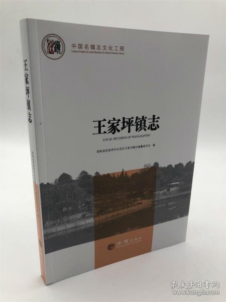 王家坪镇志/中国名镇志文化工程