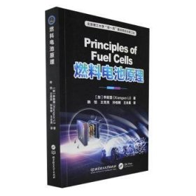 全新正版图书 燃料电池原理李献国北京理工大学出版社有限责任公司9787576318975 黎明书店