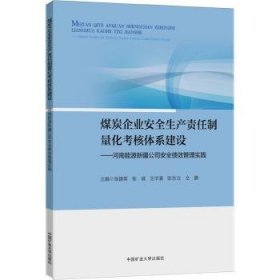 煤炭企业安全生产责任制量化考核体系建设——河南能源新疆公司安全绩效管理实践