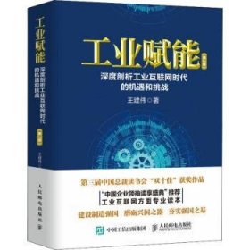 工业赋能：深度剖析工业互联网时代的机遇和挑战（第2版）