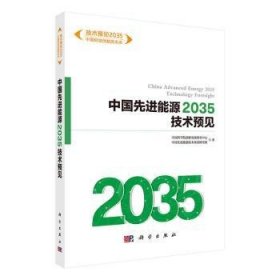 中国先进能源2035技术预见