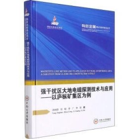 全新正版图书 强区大地电磁探测技术与应用--以庐枞矿集区为例(精)/有色金属理论与技术前沿丛书汤井田中南大学出版社9787548740223 黎明书店