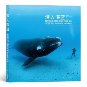 潜入深蓝：国际野生生物摄影年赛水下摄影精选