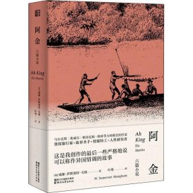 全新正版现货  阿金:六篇小说:six stories 9787533953829