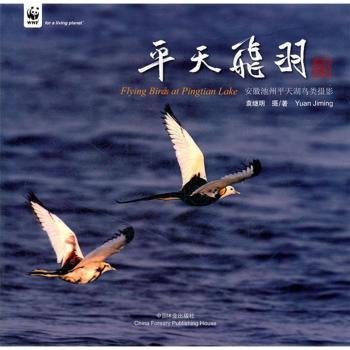 全新正版图书 平天飞羽-安徽池州平天湖鸟类摄影袁继明摄中国林业出版社9787503864254 黎明书店