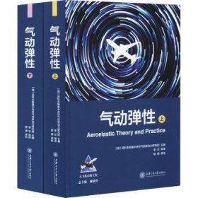 全新正版图书 气动弹性茹科夫斯基中央空气流体动力研究上海交通大学出版社9787313203809 黎明书店