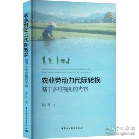 农业劳动力代际转换：基于多维视角的考察