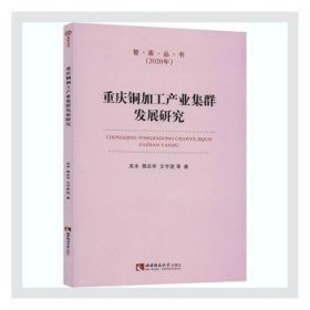 重庆铜加工产业集群发展研究