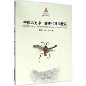 中国北方中:新生代昆虫化石