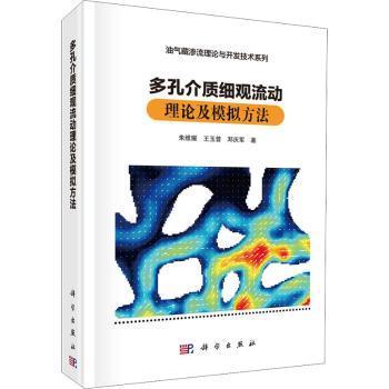 多孔介质细观流动理论及模拟方法