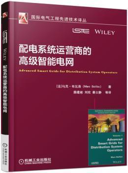 配电系统运营商的高级智能电网