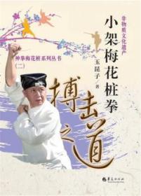 小架梅花桩拳