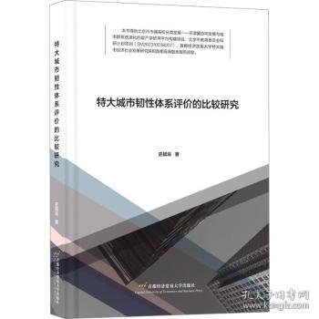 特大城市韧性体系评价的比较研究