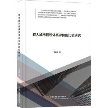 特大城市韧性体系评价的比较研究