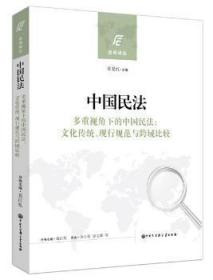 中国民法-多重视角下的中国民法:文化传统.现行规范与跨域比较