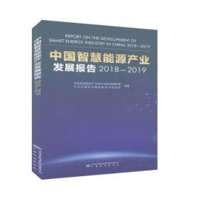 中国智慧能源产业发展报告:18-19