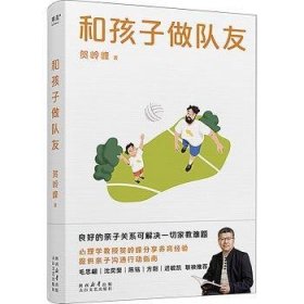 和孩子做队友（良好的亲子关系可解决一切家教难题。心理学教授贺岭峰分享养育经验，提供亲子沟通行动指南）