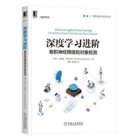 深度学习进阶：卷积神经网络和对象检测