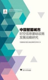 中国智能城市时空信息基础设施发展战略研究