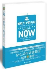 修炼当下的力量:当下力量的核心教导思想和练