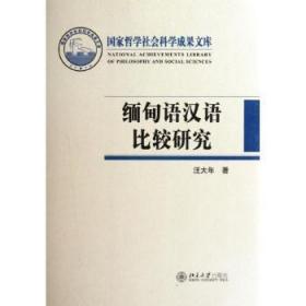 11-缅甸语汉语比较研究-国家哲学社会科学成果文库