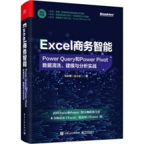 Excel商务智能：Power Query和Power Pivot数据清洗、建模与分析实战