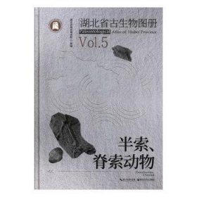 湖北省古生物图册(5半索脊索动物)(精)