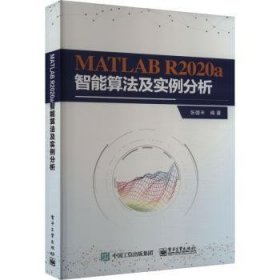 MATLAB Ra智能算法及实例分析