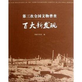 第三次全国文物普查大新发现