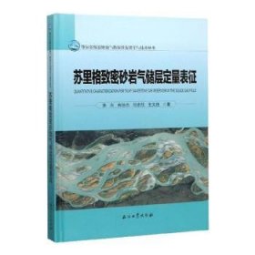 苏里格致密砂岩气储层定量表征