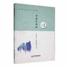 美丽在西街:一名基层干部的联村手记