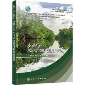 流域水污染治理成套集成技术丛书--皮革行业水污染治理成套集成技术