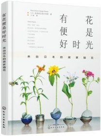 有花便是好时光：来自日本的居家插花