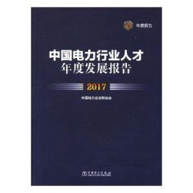 中国电力行业人才年度发展报告：17