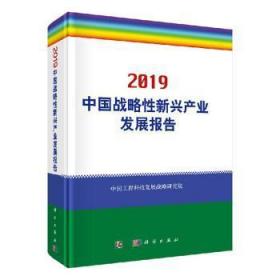 中国战略性新兴产业发展报告:19