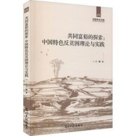 共同富裕的探索：中国反贫困理论与实践