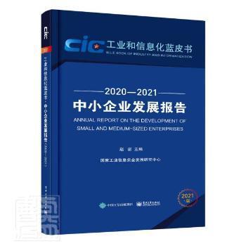 中小企业发展报告（2020—2021）