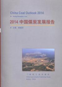 2014中国煤炭发展报告