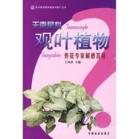 天南星科观叶植物养花专家解惑答疑