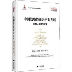 中国战略性新兴产业发展机制、路径与政策