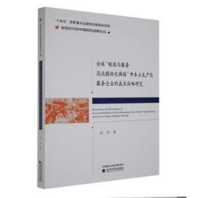 全球“制造与服务混沌模块化网络”中本土生产企业的成长战略研究