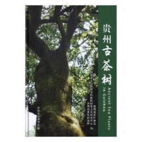 贵州茶树
