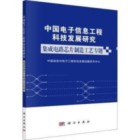 中国电子信息工程科技发展研究集成电路芯片制造工艺专题