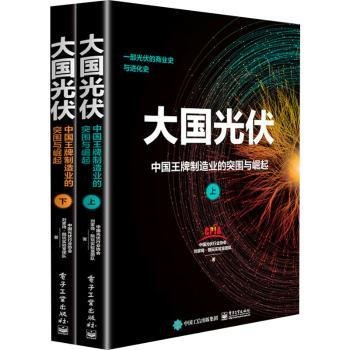 大国光伏：中国王牌制造业的突围与崛起（上、下）