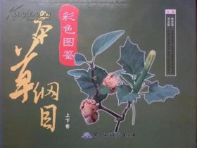 本草纲目：彩色图鉴【塑封硬精盒装 上 下 两册 】