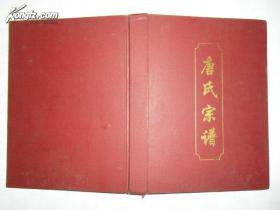 唐氏宗谱--含雁江区全区及安岳、乐至、简阳部分宗支【内有古谱影印 家谱族谱 精装本 大16开469页