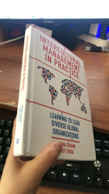 Intercultural Management in Practice: Learning to Lead Diverse Global Organizations[9781839828270]