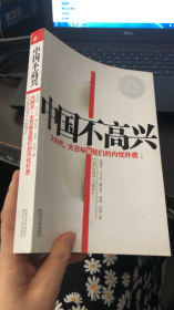 中国不高兴：大时代大目标及我们的内忧外患