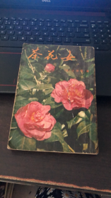 茶花女（小仲马）